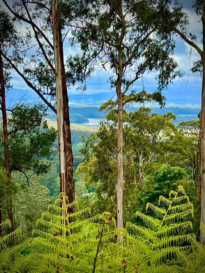 Melbourne Topview Villa In Dandenong Ranges Near Skyhigh Kalorama Экстерьер фото
